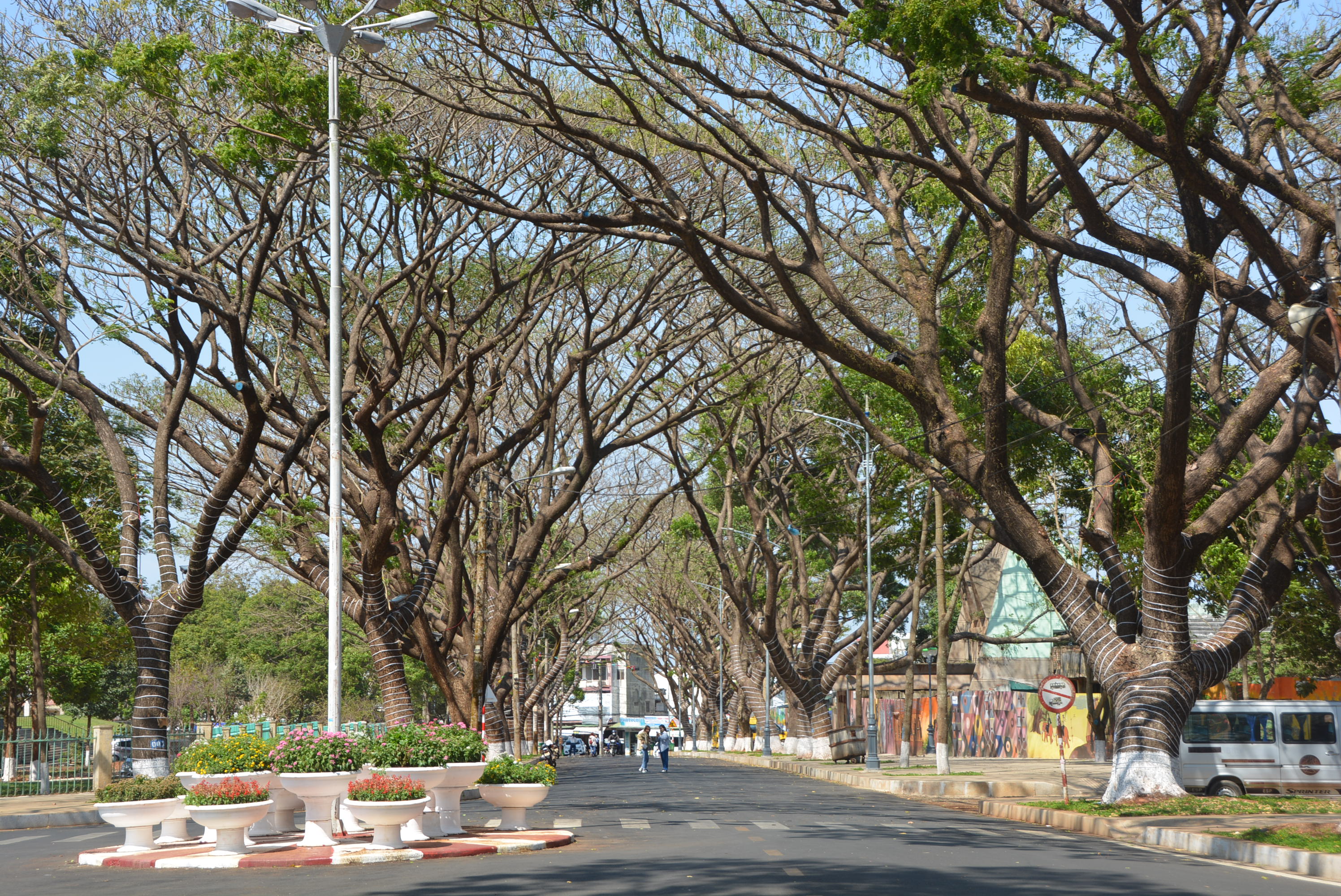 Dành một tuyến đường và hơn 350 quán cà phê trên địa bàn TP.Buôn Ma Thuột phục vụ cà phê miễn phí cho du khách và người dân trong dịp Lễ hội